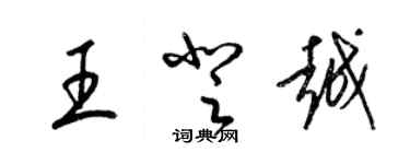 梁錦英王登越草書個性簽名怎么寫