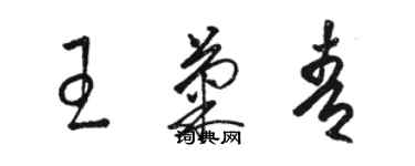 駱恆光王菊青草書個性簽名怎么寫