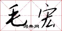 毛宏怎么寫好看