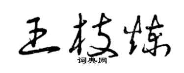 曾慶福王枝煉草書個性簽名怎么寫