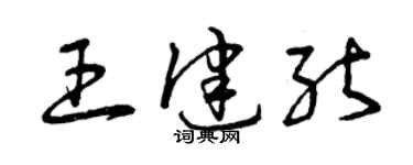 曾慶福王健能草書個性簽名怎么寫