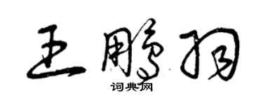 曾慶福王鵬羽草書個性簽名怎么寫