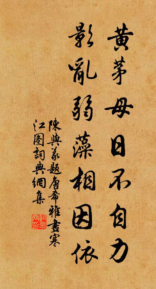 人若無心濟天下,不知蟲鳥有何情 詩詞名句