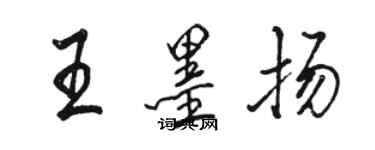 駱恆光王墨揚行書個性簽名怎么寫