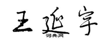 曾慶福王延宇行書個性簽名怎么寫