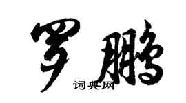 胡問遂羅鵬行書個性簽名怎么寫
