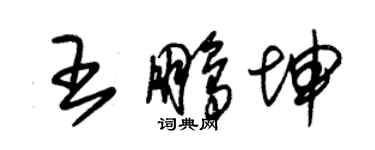 朱錫榮王鵬坤草書個性簽名怎么寫