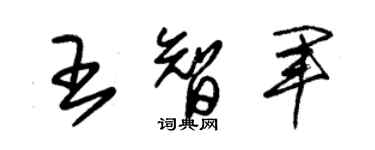 朱錫榮王智軍草書個性簽名怎么寫
