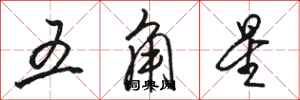 駱恆光五角星行書怎么寫