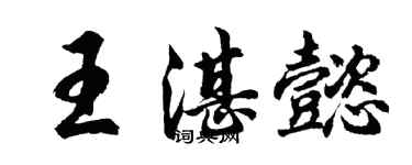 胡問遂王湛懿行書個性簽名怎么寫