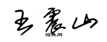 朱錫榮王震山草書個性簽名怎么寫