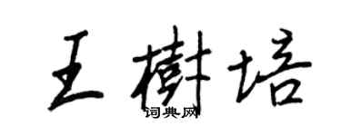 王正良王樹培行書個性簽名怎么寫