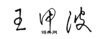 駱恆光王甲波草書個性簽名怎么寫