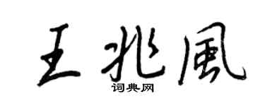 王正良王兆風行書個性簽名怎么寫
