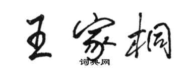 駱恆光王家桐行書個性簽名怎么寫