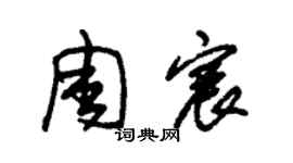 朱錫榮周宸草書個性簽名怎么寫