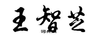 胡問遂王智芝行書個性簽名怎么寫