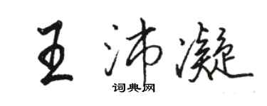 駱恆光王沛凝行書個性簽名怎么寫