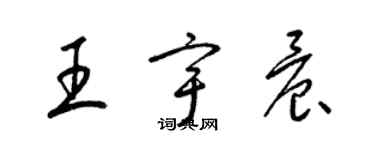 梁錦英王宇晨草書個性簽名怎么寫