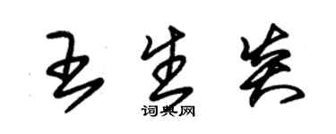 朱錫榮王生炎草書個性簽名怎么寫