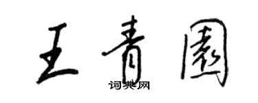 王正良王青園行書個性簽名怎么寫
