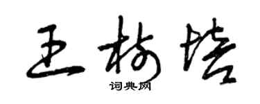 曾慶福王樹培草書個性簽名怎么寫