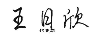 駱恆光王日欣行書個性簽名怎么寫