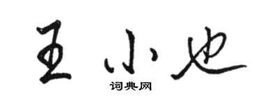 駱恆光王小也行書個性簽名怎么寫