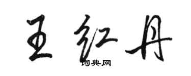 駱恆光王紅丹行書個性簽名怎么寫