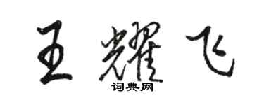 駱恆光王耀飛行書個性簽名怎么寫