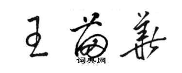 駱恆光王苗華草書個性簽名怎么寫