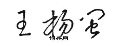 駱恆光王楊閩草書個性簽名怎么寫