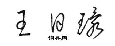 駱恆光王日環草書個性簽名怎么寫