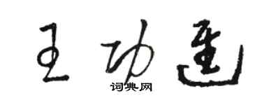 駱恆光王功進草書個性簽名怎么寫