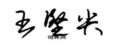 朱錫榮王堅尖草書個性簽名怎么寫