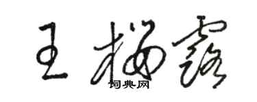 駱恆光王櫻露草書個性簽名怎么寫