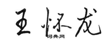 駱恆光王懷龍行書個性簽名怎么寫