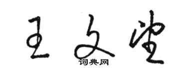 駱恆光王文望草書個性簽名怎么寫