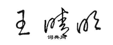 駱恆光王晴明草書個性簽名怎么寫