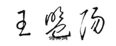 駱恆光王盟陽草書個性簽名怎么寫