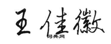 駱恆光王佳徽行書個性簽名怎么寫