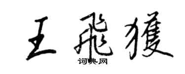 王正良王飛獲行書個性簽名怎么寫