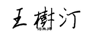 王正良王樹汀行書個性簽名怎么寫