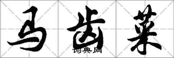 胡問遂馬齒菜行書怎么寫