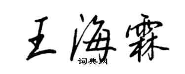 王正良王海霖行書個性簽名怎么寫