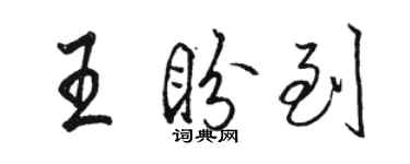 駱恆光王盼到行書個性簽名怎么寫