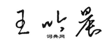 駱恆光王吟晨草書個性簽名怎么寫