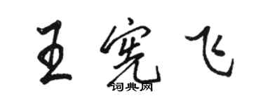 駱恆光王憲飛行書個性簽名怎么寫