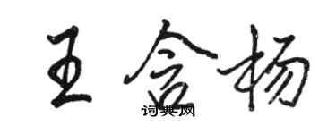 駱恆光王含楊行書個性簽名怎么寫