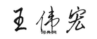 駱恆光王偉宏行書個性簽名怎么寫